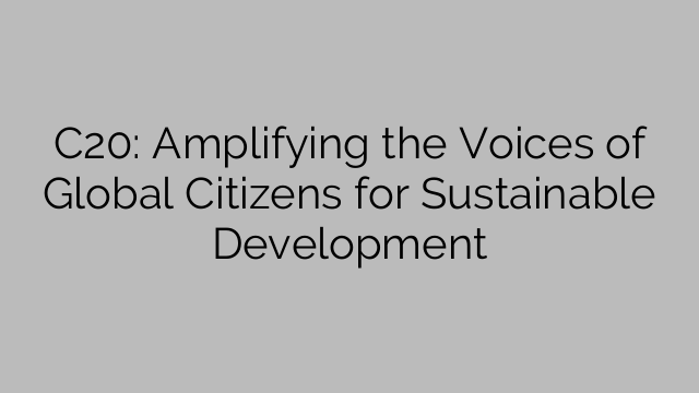 C20: Amplifying the Voices of Global Citizens for Sustainable Development