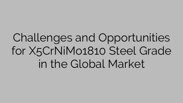 Challenges and Opportunities for X5CrNiMo1810 Steel Grade in the Global Market