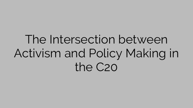 The Intersection between Activism and Policy Making in the C20