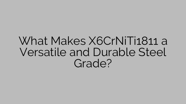 What Makes X6CrNiTi1811 a Versatile and Durable Steel Grade?