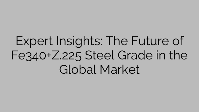 Expert Insights: The Future of Fe340+Z.225 Steel Grade in the Global Market